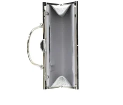 Metal Frame Burst Bag|Vanessa