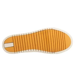 Los Cabos High Top><noscript><img width=